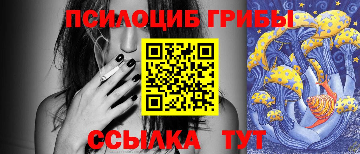 Галлюциногенные грибы Cubensis  Вход с VPN  Псилоцибиновые грибы прущие грибы  Муравленко 