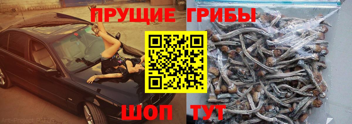 Псилоцибиновые грибы ЛСД Муравленко